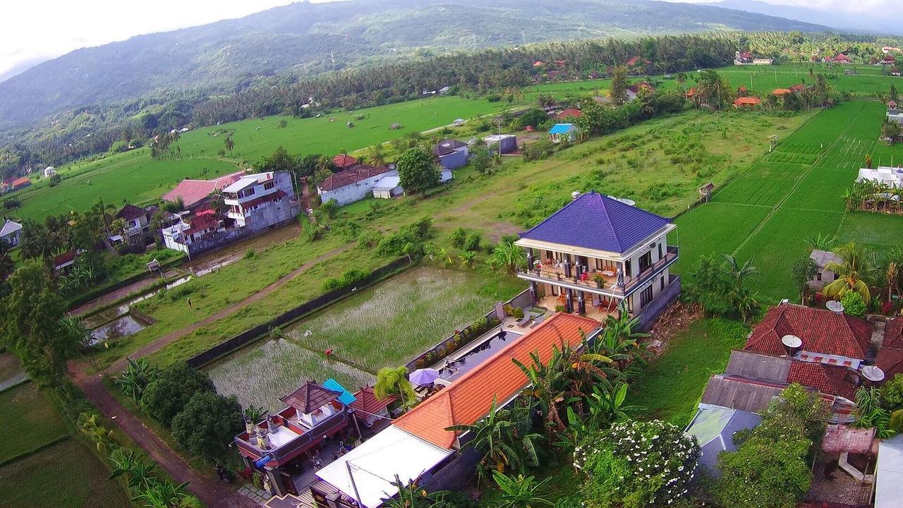 Summer Guesthouse Lovina Exterior photo